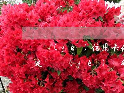 興業(yè)信用卡停息掛賬規(guī)定(興業(yè)銀行信用卡停息掛賬需要提交什么資料)