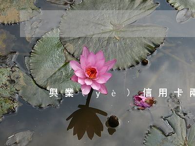 興業(yè)信用卡兩次逾期一天