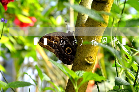 興業(yè)信用卡協(xié)商