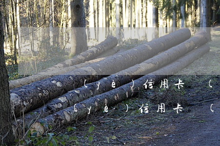 興業(yè)信用卡協(xié)商郵箱 興業(yè)信用卡協(xié)商郵箱