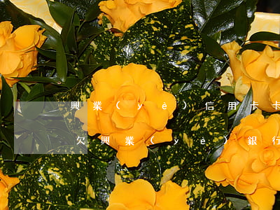 興業(yè)信用卡卡逾期協(xié)商(欠興業(yè)銀行信用卡5萬被起訴如何協(xié)商)