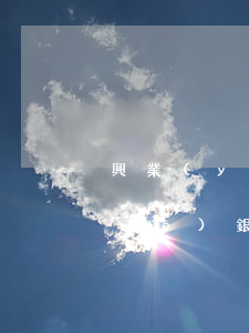 興業(yè)信用卡可以停息掛賬嗎(興業(yè)銀行信用卡停息掛賬需要提交什么資料)