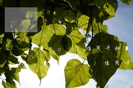 興業(yè)信用卡和興享貸加一起欠五萬-興業(yè)信用卡和興享貸加一起欠五萬怎么辦