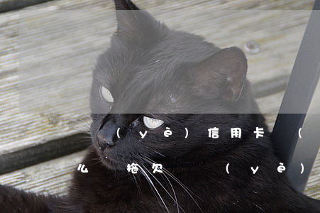 興業(yè)信用卡嚴(yán)重逾期怎么辦(拖欠興業(yè)銀行信用卡3個(gè)月會(huì)上門要嗎)