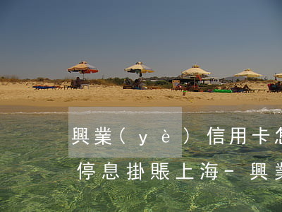 興業(yè)信用卡怎么申請(qǐng)停息掛賬上海-興業(yè)銀行如何申請(qǐng)停息掛賬