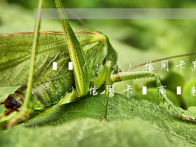 興業(yè)信用卡怎樣協商還款(興業(yè)信用卡協商還款電話多少)