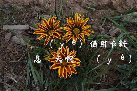 興業(yè)信用卡新規(guī)逾期免息幾天?。ㄅd業(yè)信用卡新規(guī)逾期免息幾天）