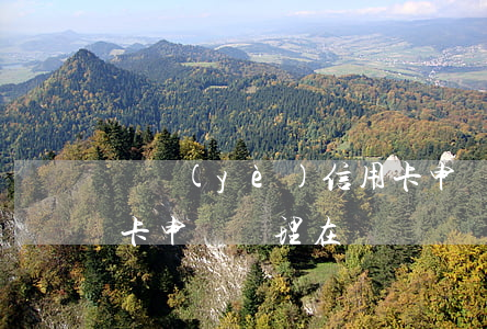 興業(yè)信用卡申請(興業(yè)信用卡申請辦理在線)