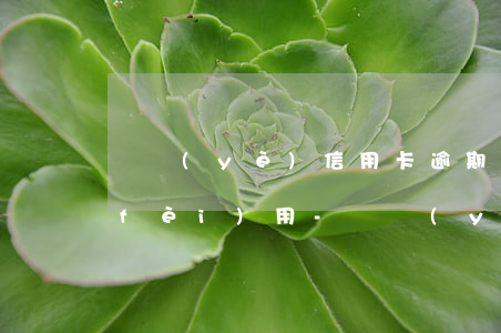 興業(yè)信用卡逾期10天怎么算費(fèi)用-興業(yè)信用卡逾期10天怎么算費(fèi)用的