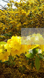 興業(yè)信用卡逾期11天怎樣銷卡(欠興業(yè)銀行信用卡4萬逾期了會(huì)被報(bào)案坐牢嗎)