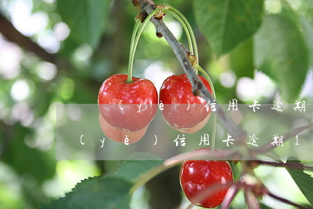 興業(yè)信用卡逾期13萬利息-興業(yè)信用卡逾期13萬利息多少