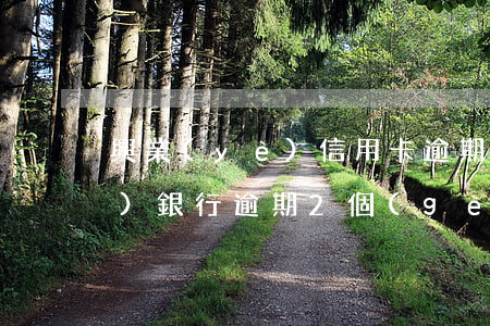 興業(yè)信用卡逾期16天(興業(yè)銀行逾期2個(gè)月了被起訴了怎么辦)