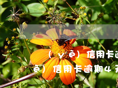 興業(yè)信用卡逾期20上門(興業(yè)信用卡逾期4天有事嗎)