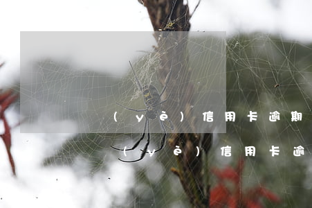 興業(yè)信用卡逾期30萬分期50期(興業(yè)信用卡逾期30萬分期50期)