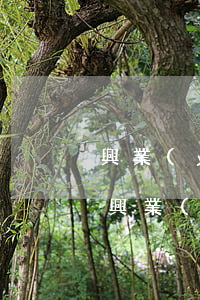 興業(yè)信用卡逾期3萬多會怎么樣-興業(yè)信用卡逾期3萬多會怎么樣處理