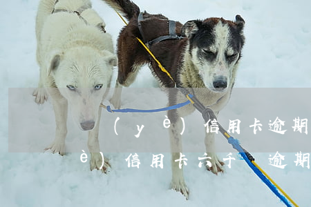 興業(yè)信用卡逾期4萬-欠興業(yè)信用卡六千塊逾期三個月會上門嗎