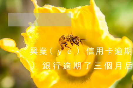 興業(yè)信用卡逾期52天(興業(yè)銀行逾期了三個月后起訴了對生活有什么后果?)