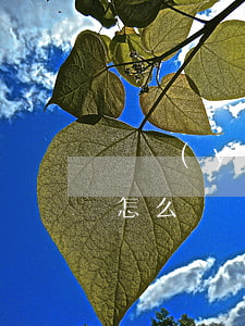 興業(yè)信用卡逾期6天會(huì)怎么樣(興業(yè)信用卡逾期6天會(huì)怎么樣)