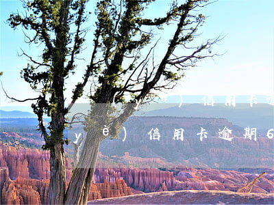 興業(yè)信用卡逾期6萬怎么辦(興業(yè)信用卡逾期6萬怎么辦)