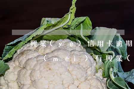 興業(yè)信用卡逾期7個(gè)月(有沒(méi)有興業(yè)銀行信用卡逾期半年以上的)