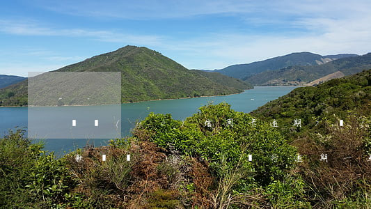 興業(yè)信用卡逾期7個(gè)月還款(興業(yè)銀行逾期一天還款對(duì)信用有影響嗎)