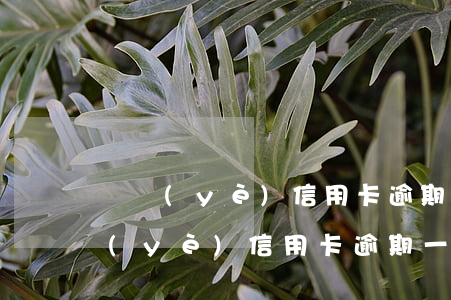興業(yè)信用卡逾期一天了怎么辦(興業(yè)信用卡逾期一天了怎么辦最快)