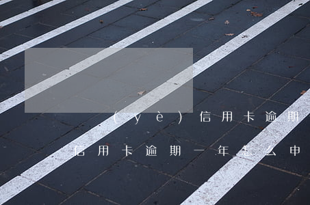 興業(yè)信用卡逾期一年(興業(yè)信用卡逾期一年怎么申請個性化分期)