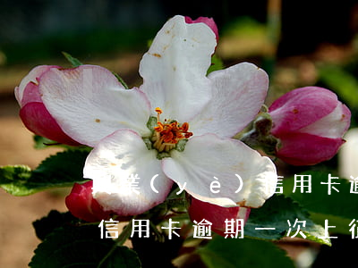 興業(yè)信用卡 逾期一次(興業(yè)信用卡逾期一次上征信等多長時間能消除)