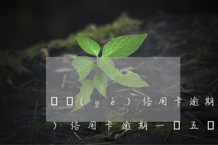 興業(yè)信用卡逾期一萬五 興業(yè)信用卡逾期一萬五會(huì)怎么樣