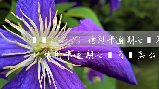 興業(yè)信用卡逾期七個月(興業(yè)信用卡逾期七個月會怎么樣)