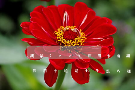 興業(yè)信用卡逾期七千(興業(yè)信用卡逾期七千怎么樣)