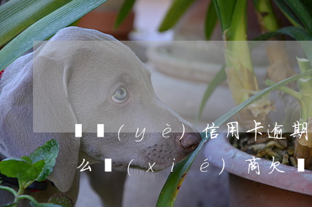 興業(yè)信用卡逾期七萬(wàn)怎么協(xié)商(欠興業(yè)銀行信用卡6萬(wàn)多法院會(huì)怎么判)