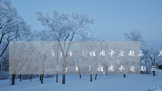 興業(yè)信用卡逾期三個月讓還全款-興業(yè)信用卡逾期三個月讓還全款怎么辦