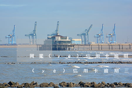 興業(yè)信用卡逾期三萬六怎么樣(興業(yè)信用卡逾期三萬六怎么樣)