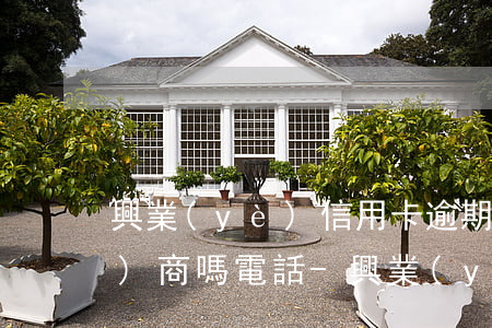 興業(yè)信用卡逾期了可以協(xié)商嗎電話-興業(yè)信用卡逾期了可以協(xié)商嗎電話號碼