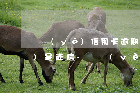 興業(yè)信用卡逾期了多久會(huì)是征信-興業(yè)信用卡逾期了多久會(huì)是征信黑名單