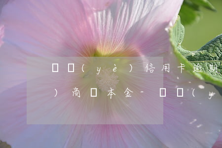 興業(yè)信用卡逾期了怎么協(xié)商還本金-興業(yè)信用卡逾期了怎么協(xié)商還本金呢