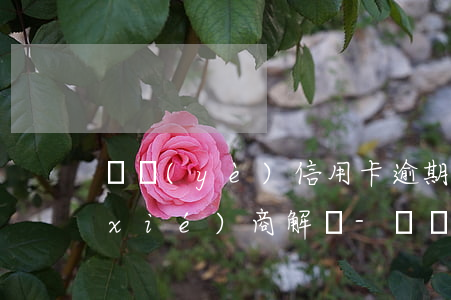 興業(yè)信用卡逾期了怎么跟銀行協(xié)商解決-興業(yè)信用卡逾期了怎么跟銀行協(xié)商解決分期