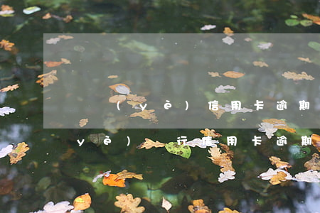 興業(yè)信用卡逾期了會立案么(興業(yè)銀行信用卡 逾期一天)