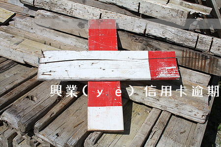 興業(yè)信用卡逾期信息