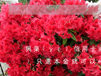 興業(yè)信用卡逾期催收說(shuō)只還本金就可以-興業(yè)信用卡逾期催收說(shuō)只還本金就可以了