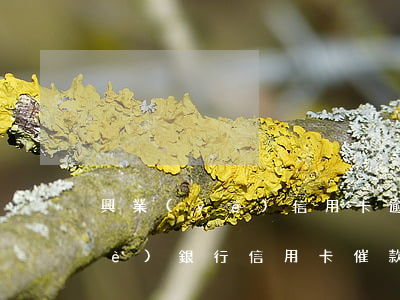 興業(yè)信用卡逾期催繳號碼(興業(yè)銀行信用卡催款號碼)