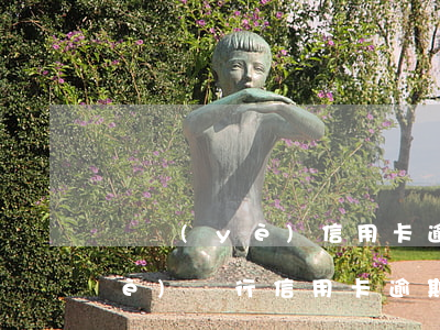 興業(yè)信用卡逾期兩三年了(興業(yè)銀行信用卡逾期三年會(huì)公安局立案嗎)
