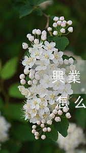 興業(yè)信用卡逾期凍結(jié)了怎么辦-我興業(yè)銀行信用卡逾期了還不上怎么辦