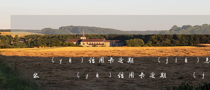 興業(yè)信用卡逾期凍結(jié)怎么辦(興業(yè)信用卡逾期凍結(jié)怎么辦)