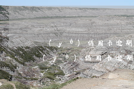 興業(yè)信用卡逾期利息可以免息嗎(興業(yè)信用卡逾期利息可以免息嗎微信)
