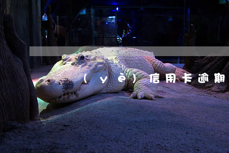 興業(yè)信用卡逾期十天要緊嗎
