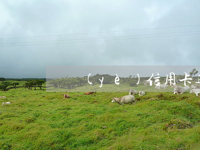 興業(yè)信用卡逾期半個月