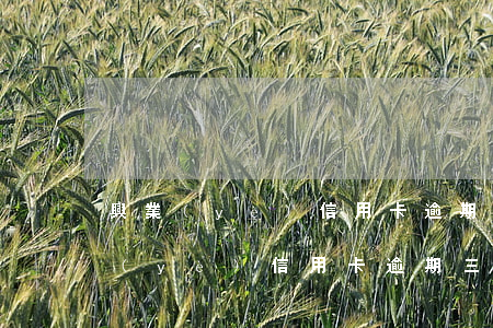興業(yè)信用卡逾期半個月會怎樣(興業(yè)信用卡逾期三個月以上還能協(xié)商嗎)