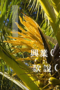 興業(yè)信用卡逾期協(xié)商還款說(shuō)要先還清債務(wù)-興業(yè)信用卡逾期協(xié)商還款說(shuō)要先還清債務(wù)是真的嗎